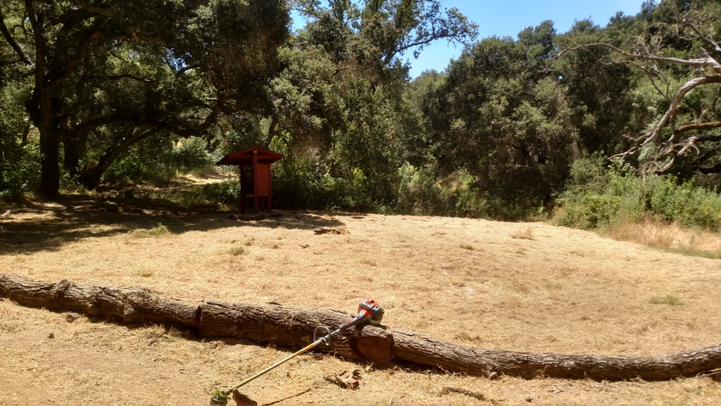 The Meadow after weed abatement.